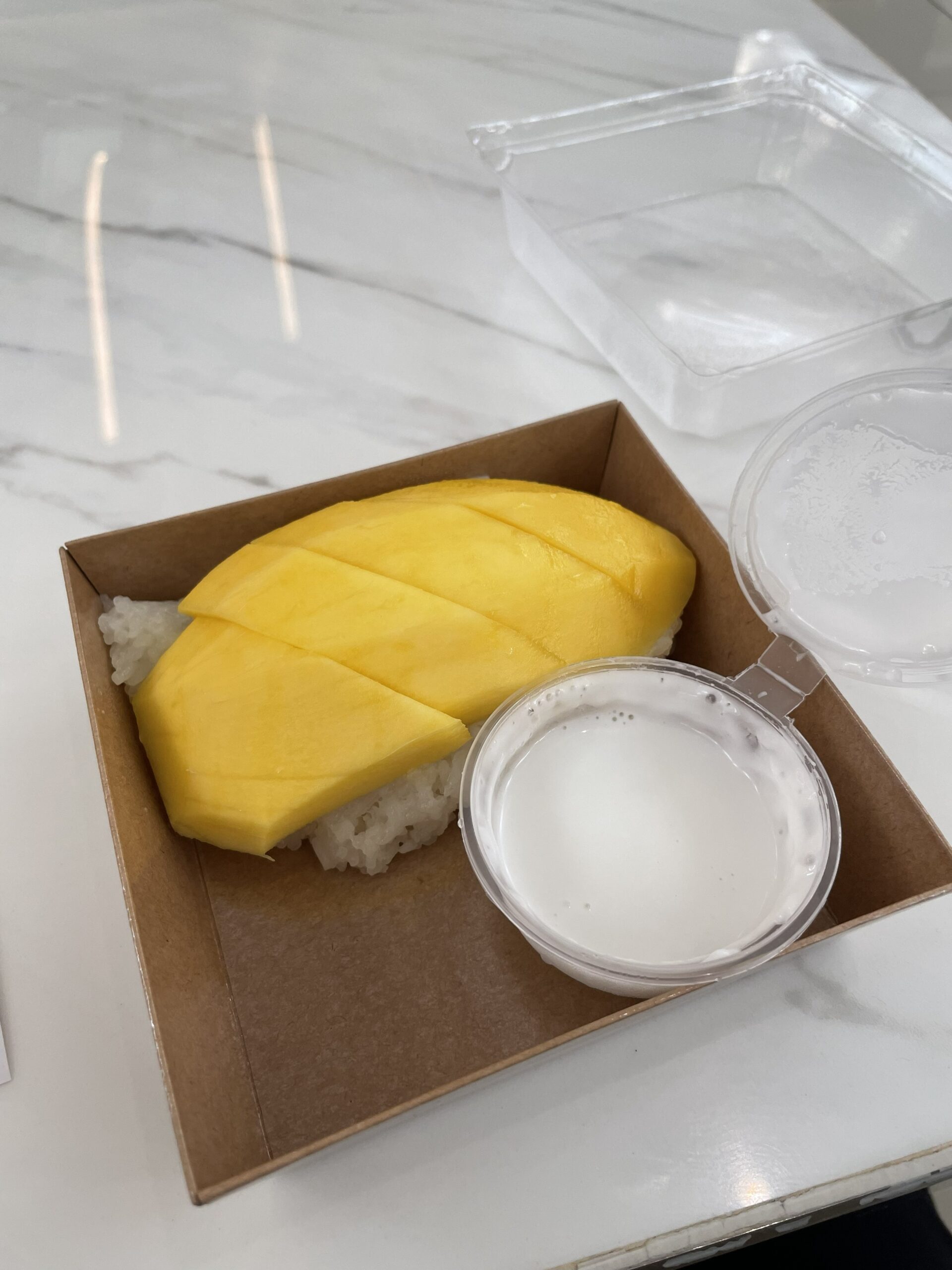 香港国際空港で食べたタイ料理。カオニャオ・マムアン