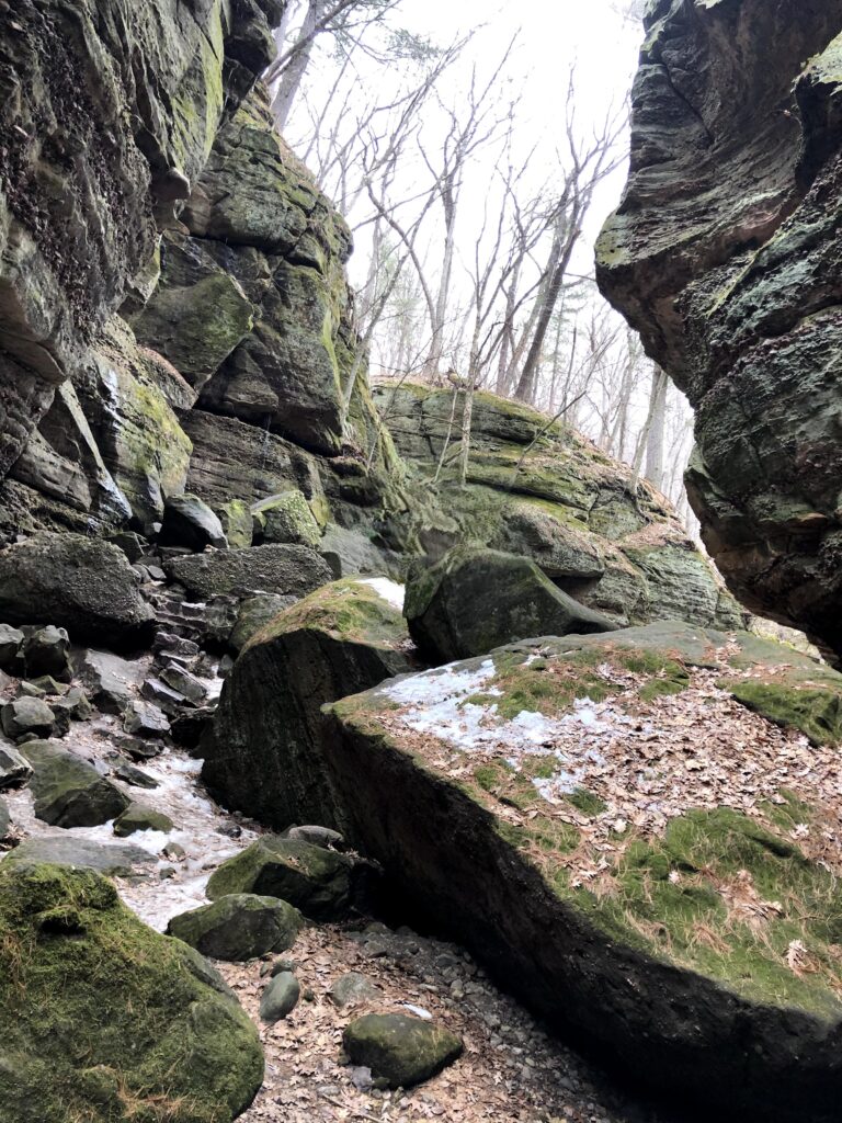 アメリカ・ウィスコンシン州Perfrey’s Glen State Natural Area で撮影した渓谷の写真、